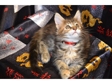 2 ������