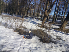 IMG 20150317 152715.jpg