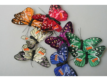 ������� 486322 160�.jpg