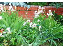 ���� ��������� ������-���������