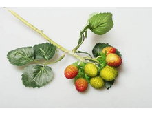 ��������� �������� ������� 29165-1 115� ����� ���� 105�