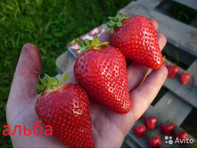 ��������� ����� 50���..jpg