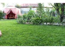 IMG 0004.JPG