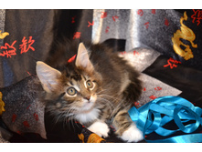 2 ������