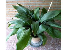 ���/�������!!!!