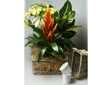 ����� YM-118201 250�.jpg