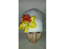 ���. 081 ������� 170���.