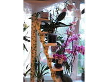 IMG 20150723 201558.jpg