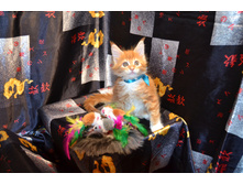 2 ������