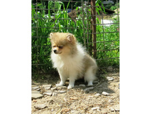 ������� ������ 006.JPG