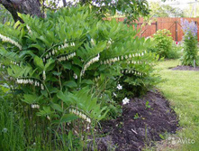 ������ 70