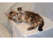 2 ������