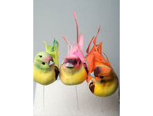 ������ 24�� 390�.JPG