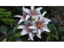 20150704 123935.jpg