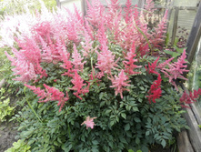 IMG 20150719 144838.jpg