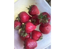 ���� ������))))