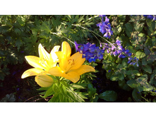 20150627 190324.jpg