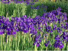 ���� ���������.90