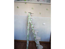 IMG 20150723 191054.jpg