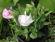 �������