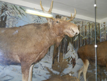DSCN1418.JPG
