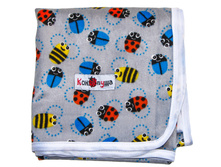 ������������� ��������� ��̣��� � ���� ���������