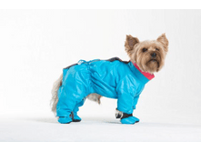 ���������� ����� �����	����	830	���.