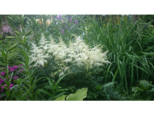 �������� ������� �����, ����� ����, ���� 90 ���