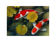 ����� 38*27 Ag470 - 846 ���.