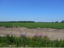 DSCN1114.JPG