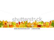 Stock-photo-seamless-pattern-of-autumn-leaves-lying-on-the-ground-149445788.jpg