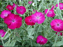 ������ ���������� 80