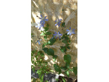 20150704 143538.jpg