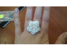 IMG 20150629 175544.jpg