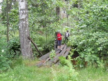 DSCN1306.JPG