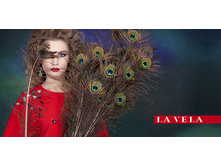 LaVela Christmas 2015 (4).jpg