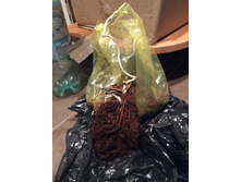 ��� �������.