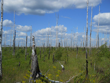 DSCN1451.JPG
