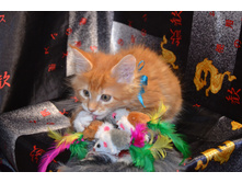 2 ������