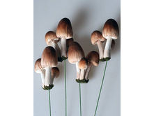 ����� 12�� 480�.jpg