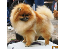 �-�� 17����� 046.JPG