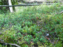 DSCN1457.JPG