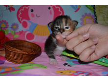 2 ������