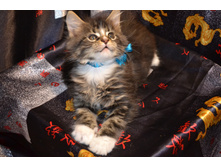 2 ������