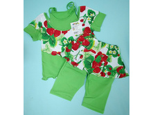 223/143-011 ��������