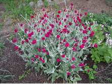 ������ ����������.80