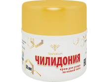 ���� ���������