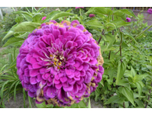 ����������� 020.JPG