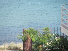 IMG 3236.JPG