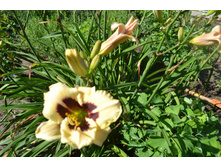 ���� 2015-27 075.JPG